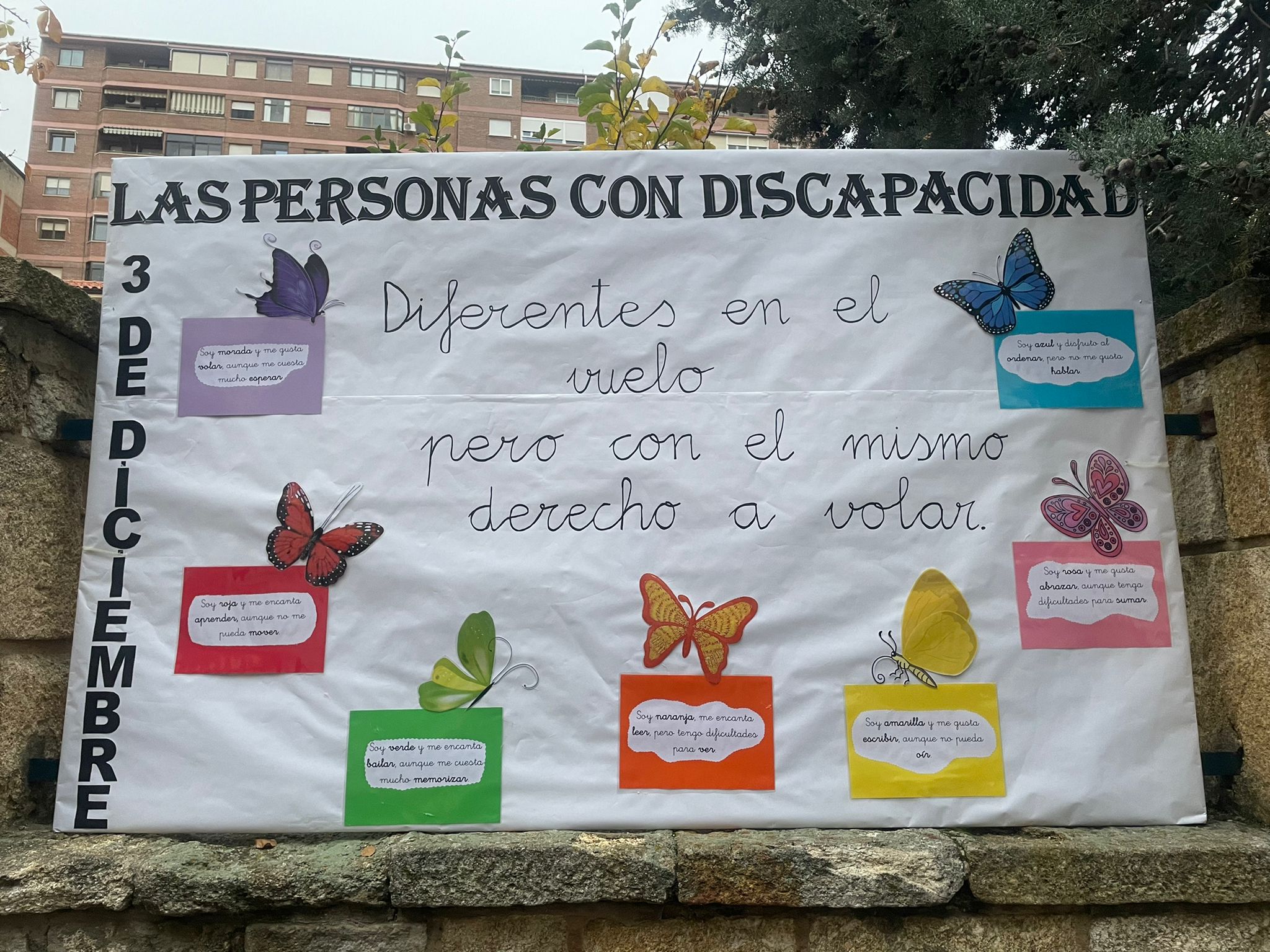 DIA DE LA DIVERSIDAD FUNCIONAL